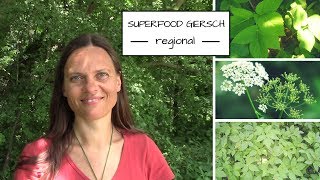 Der Giersch  regionales Wildkraut und Superfood 🌿 [upl. by Moskow775]