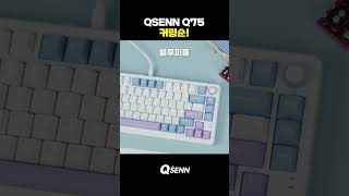 QSENN Q75 컬러 4종 맛보기 [upl. by Aelyak]