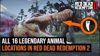 ALL 16 Legendary Animal Locations in Red Dead Redemption 2 [upl. by Mila]