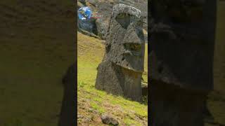 Sculptures cut from volcanic rock Easter Island moai  facts indiaamerica education [upl. by Eolanda674]