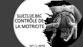 SUJETS BAC MOTRICITÉ 1 [upl. by Nowyt]