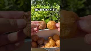 東大阪にある工場直売に行ってきた！大阪グルメ 大阪ランチ 大阪カフェ 大阪観光 [upl. by Erodaeht]