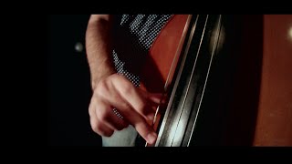 Kultiration  Mahishaasuramardinee Stotram  Bass Cover [upl. by Lehrer]