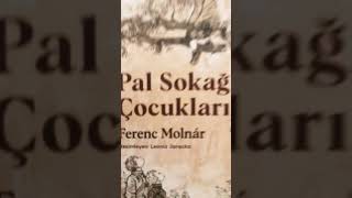 Küçük nemeçek …shourtvideo Pal sokağı çocukları ❤️ [upl. by Spevek]