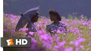 The Color Purple 1985  God Is Trying To Tell You Something [upl. by Aceber]