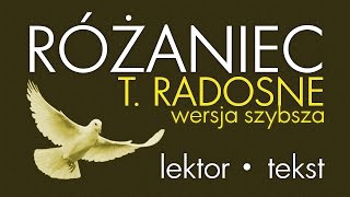 Różaniec  Tajemnice RADOSNE  wersja SZYBSZA [upl. by Ennaitsirk400]