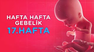 Hamilelikte 17 Hafta  Hafta Hafta Gebelik  İlk Adımlarım [upl. by Trace]