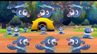 Camping With 6 Popplios For Over An Hour  Pokemon Sword amp Shield [upl. by Othilia]