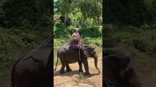 Hathi mera Sathi music cover thailandtravel tourism [upl. by Jaela]