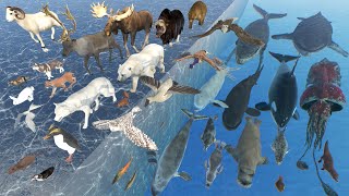 Arctic Animal Size Comparison  3D Animation  Realistic World Data [upl. by Zippel9]