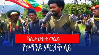 ሻለቃ ሀብቴ ወልዴ የኮማንዶ ምርቃት ላይ  የአማራ ፋኖ ጎንደር እዝ የጎንደሬ በጋሻው ክፍለጦር ነብዩ አሳምነው ብርጌድ አዲስ የኮማንዶ ኃይል አስመረቀe [upl. by Silado]