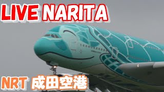 🔴LIVE at NARITA International Airport Plane Spotting 202408011 成田空港ライブカメラ 成田空港 NRTRJAA [upl. by York]