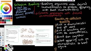 Selective Breeding  Key Stage 3  Lesson Recording [upl. by Neo]