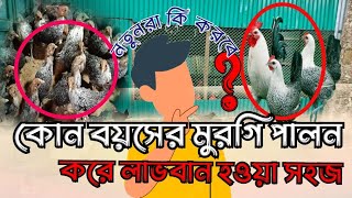 কোন বয়সের ফাউমি মুরগি পালন করে লাভবান হবেন murgipalon shebaagro [upl. by Anse77]