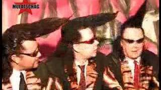 LENINGRAD COWBOYS  Interview [upl. by Verney158]