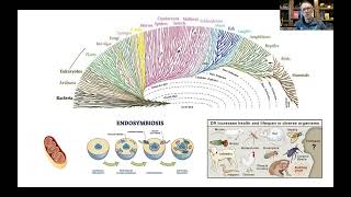 Bioenergetics and Brain Health 1 Evolutionary Perspective and Overview of Brain Energy Metabolism [upl. by Nesnah]