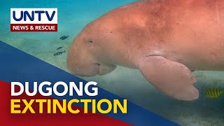 Dugong officially declared as extinct in China [upl. by Rednaeel]