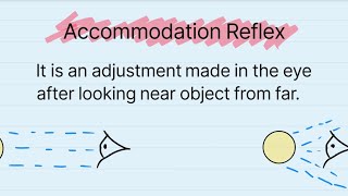 Accomodation Pathway  Physiology  senses education [upl. by Suciram]