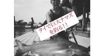 【死闘！】タイで超巨大ナマズ釣りに挑戦！！あっぱれコイズミ探検隊Vol5 [upl. by Koblas]