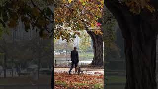 Autumnal vibes around Flagey lakes in Ixelles Brussels [upl. by Ramsey]