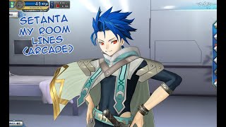 【FGO Arcade】Setanta My Room Voice Lines ENG [upl. by Handy]