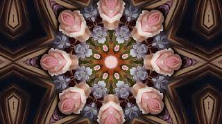 Slow flower kaleidoscope for meditation and healing calm for one hour [upl. by Selle329]