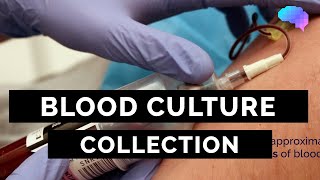 Blood Culture Collection  OSCE Guide  UKMLA  CPSA [upl. by Azpurua]