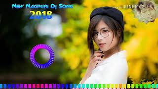 Are punam toi bain gele Bewafa sanam  new 2019 nagpuri song [upl. by Chemosh872]