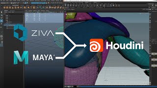 Houdini Muscle Simulation for Maya amp Ziva Users  by Carlos Puigdollers VFXCreature Supervisor [upl. by Annavas]