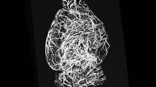 3D Rendering of Murine Vasculature Obtained with MicroCT Following Perfusion with Vascupaint™ [upl. by Anayhd]