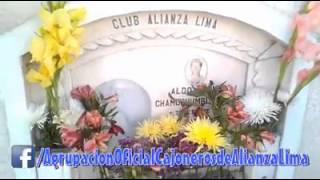 Alianza Lima Cementerio [upl. by Halsey870]