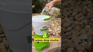 Secret Low Sugar Lemon Drop Slushie Formula [upl. by Arimaj]