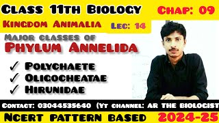 Classes of phylum Annelida Polychaete Oligocheatae l Hirunidae kingdom Animalia Invertebrates [upl. by Aynotahs]