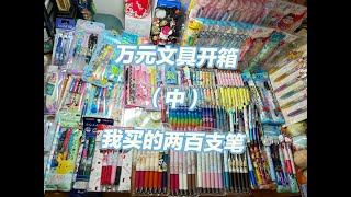 万元文具开箱（中）文具博主预测会涨价新款 [upl. by Ilagam367]