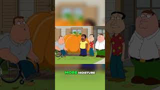 Family Guy 2024 Season 22 Ep 16 Pumpkin Contest Rivalry Can I Beat Patrick McCloskey suscribe [upl. by Liag]