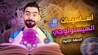 ثاني حلقة من كورس أساسيات علم الأنسجة والخلايا  Basic Histology  cell membrane [upl. by Mendie]