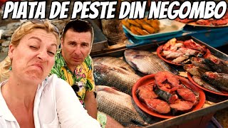 ♥️ LIVE DIN PIAȚA DE PEȘTE din Negombo [upl. by Ute]