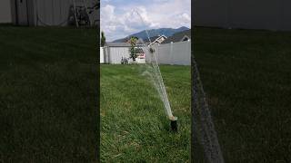 Irrigreen Sprinkler System 3Month Update ad irrigreensprinklers [upl. by Enomrej]