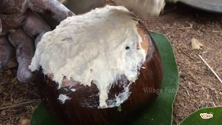 Chicken Recipe Borassus Flabellifer  Plam Fruit  thati munja  Village Foodie [upl. by Ellett]