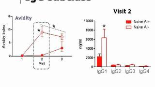 The Immunology of OilinWater Adjuvants for Influenza Vaccines [upl. by Atiuqat251]