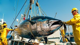 How Japanese Fishermen Catch Millions of Marlin and Bluefin Tuna  Longline Fishing Explained [upl. by Raynold]