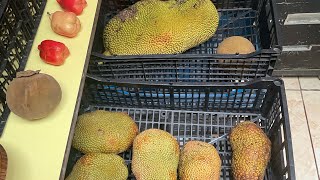 High Organic Fruit Haul October South Carib [upl. by Rhoda147]