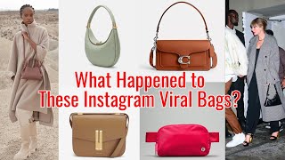 What Happened to These Instagram Viral Handbags  Ft Coach Polene Demellier Aupen  More [upl. by Maram566]