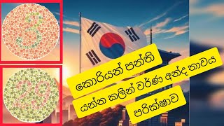 කොරියන් පන්ති යන්න කලින්korean class yanna kalin පරීක්ෂණ karaganna [upl. by Koffman380]