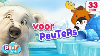 Wie Zit Daar Verstopt Dieren in de Dierentuin In de Sneeuw en Op de Boerderij  Pretlettertjes [upl. by Shinberg]