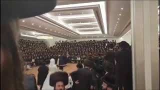 Toldos Avrohom Yitschok Rebbe Dances Mitzvah Tantz At His Einikels Wedding  Menachem Av 5784 [upl. by Anyrb859]