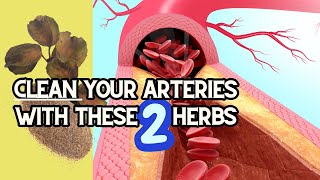 How to UNCLOG your arteries NATURALLY using HERBS [upl. by Giule]