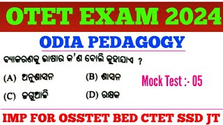 Target OTET Exam 2024  Odia Pedagogy MCQs  OTET Previous Years MCQs  BEd OSSTET CTET SSD [upl. by Kcirtap]