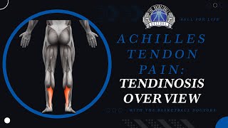 Achilles TendinopathyTendinosis Overview [upl. by Accever]