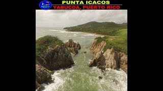 la PUNTA ICACOS en YABUCOA [upl. by Adrahs]